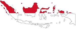 Indonesia Flag Map