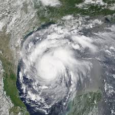 50% of potential Harvey insured loss expected to be covered by reinsurance: J.P. Morgan