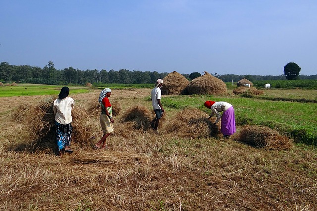 Indian agriculture schemes require global reinsurance industry integration