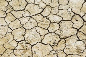 SCOR backs solution aimed at improving drought resilience in Ethiopia