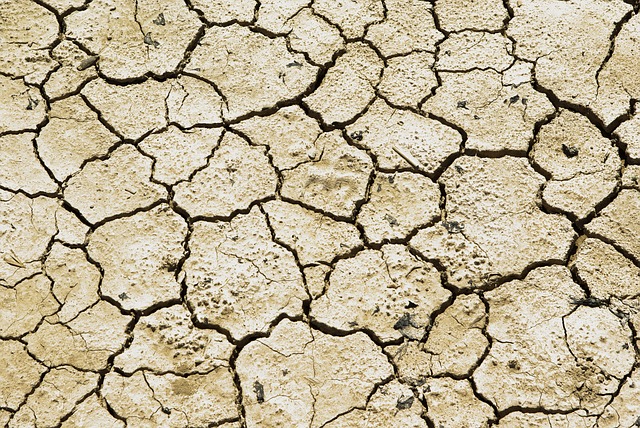 Australian insurers propose new measures to support drought-affected farmers