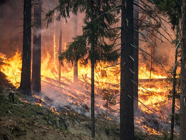 Insured losses from Carr and Mendocino Complex wildfires to exceed $845mn