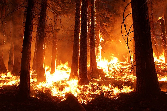 1,734 structures destroyed as Carr and Mendocino wildfires burn through California
