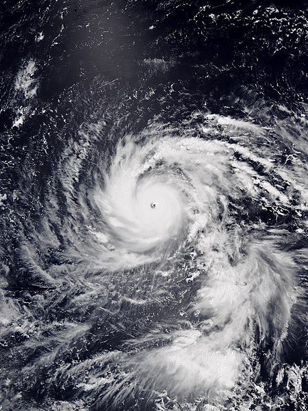 Insured losses from Japan’s Typhoon Jebi may reach $4.5 billion: AIR Worldwide