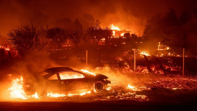 Camp Wildfire insured losses could reach $4bn: Morgan Stanley