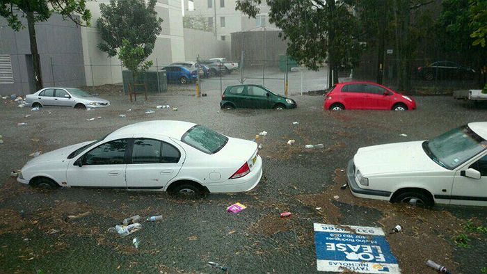 Significant losses expected as Sydney storm brings flash flooding
