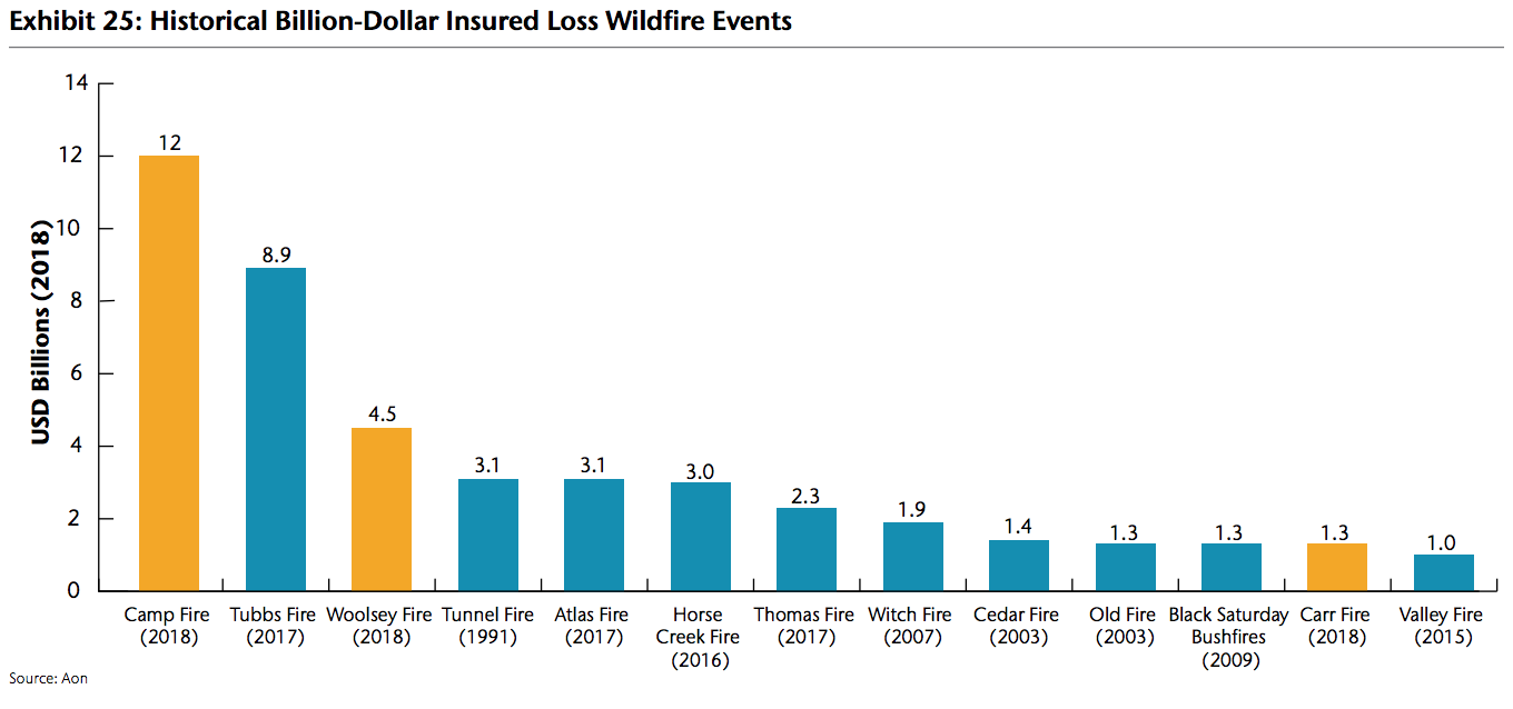 Industry wildfire losses near $20bn in record year for insurers: Aon