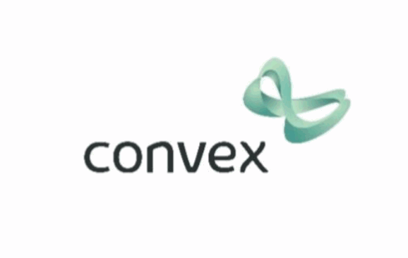 Convex Group Reinsurance