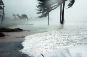 florida-storm