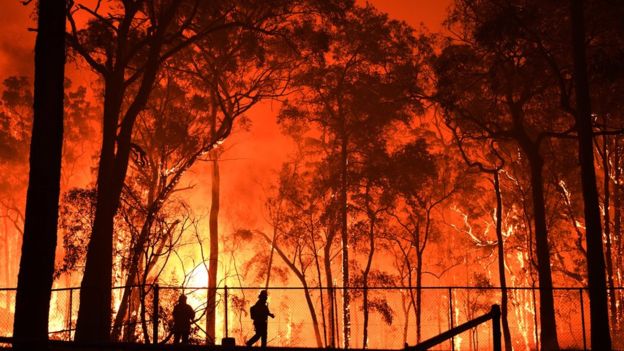 Insurance claims at $115m as Australia bushfires continue