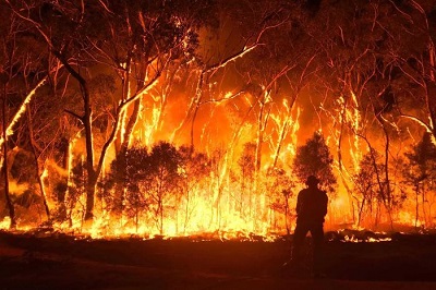 PERILS estimates peak industry bushfire losses at AU $1.6bn