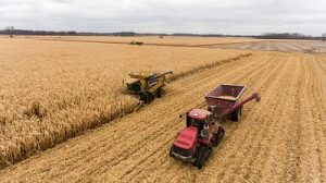 Tailored insurance solutions for climate risk are key for agriculture: SCOR